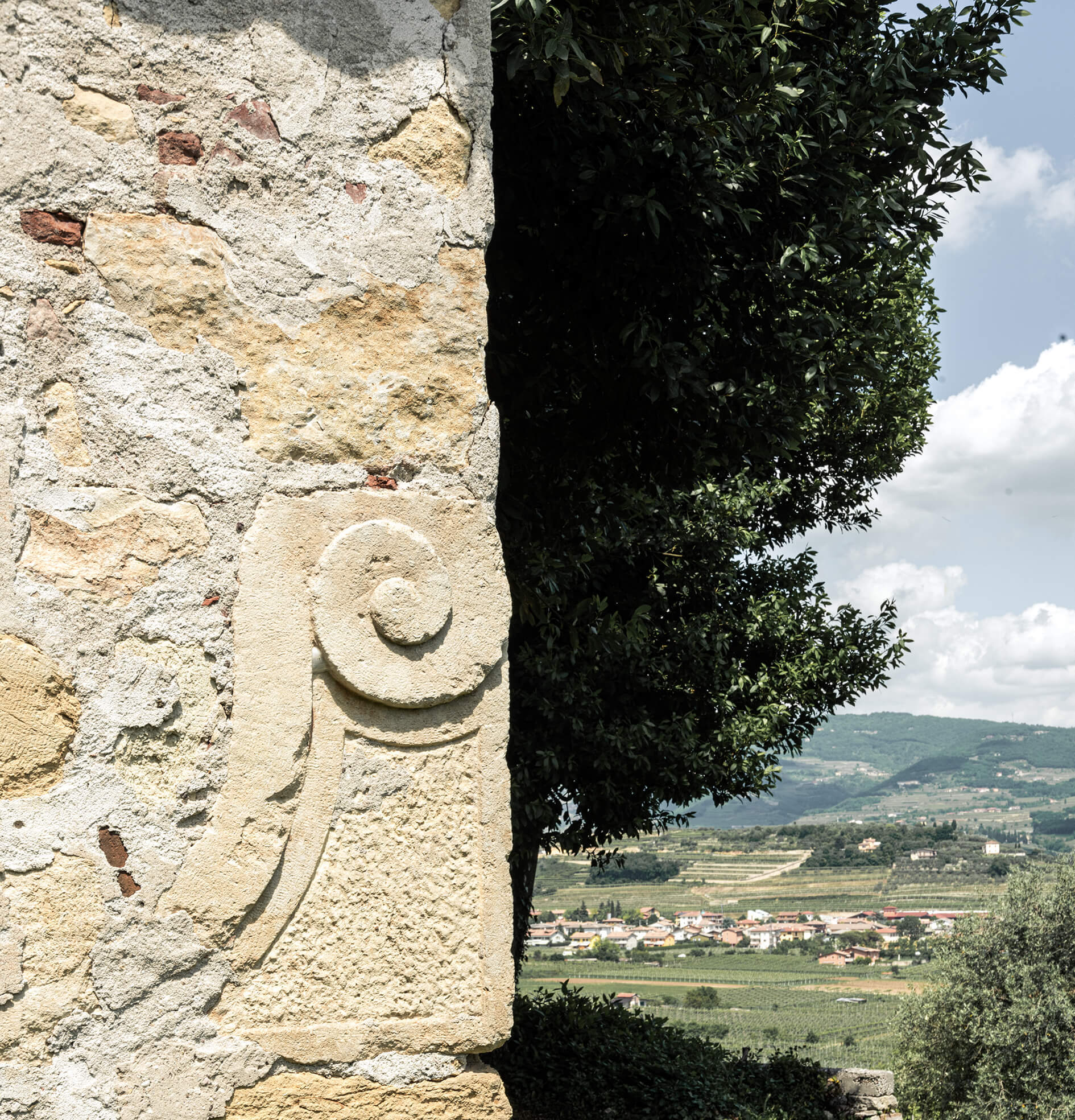 Porträt von Tenuta Villa Bellini